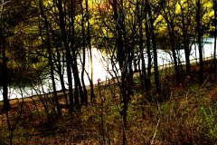 photo 0042